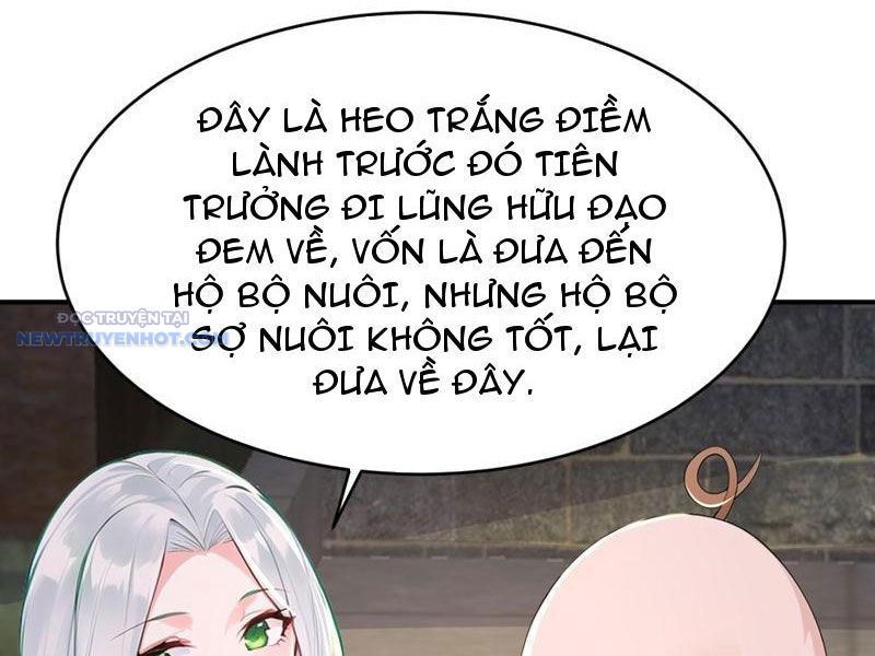 Ta Thực Sự Không Muốn Làm Thần Tiên chapter 105 - Trang 13