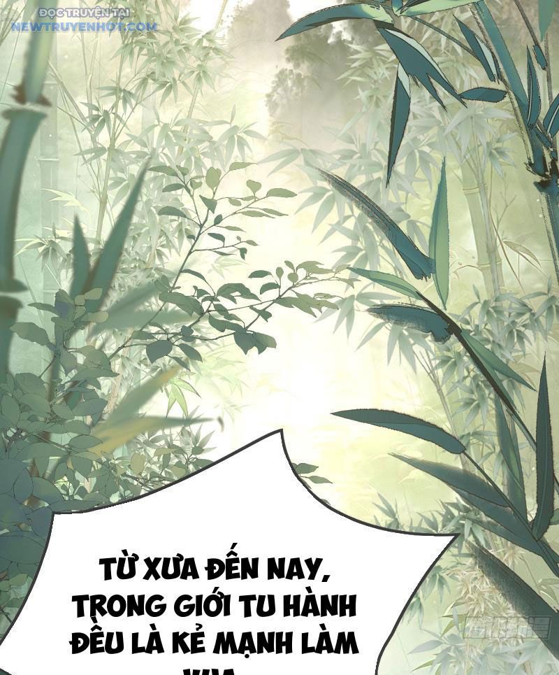 Ta Thực Sự Không Có Hứng Tu Tiên chapter 1 - Trang 4