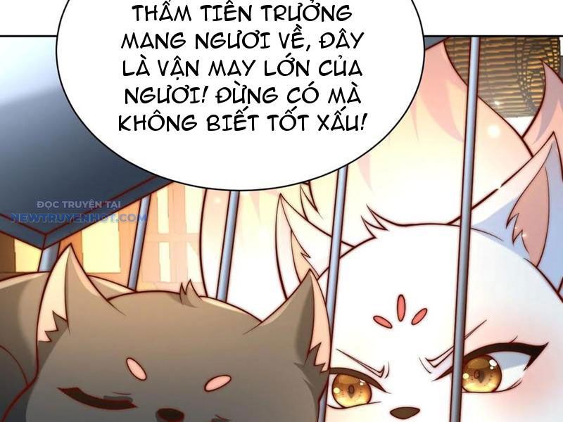 Ta Thực Sự Không Muốn Làm Thần Tiên chapter 70 - Trang 32