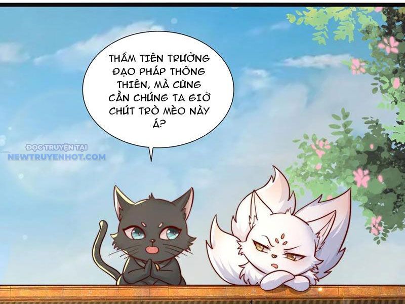 Ta Thực Sự Không Muốn Làm Thần Tiên chapter 77 - Trang 4