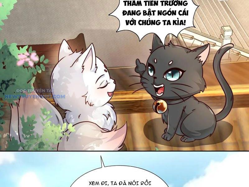 Ta Thực Sự Không Muốn Làm Thần Tiên chapter 77 - Trang 50