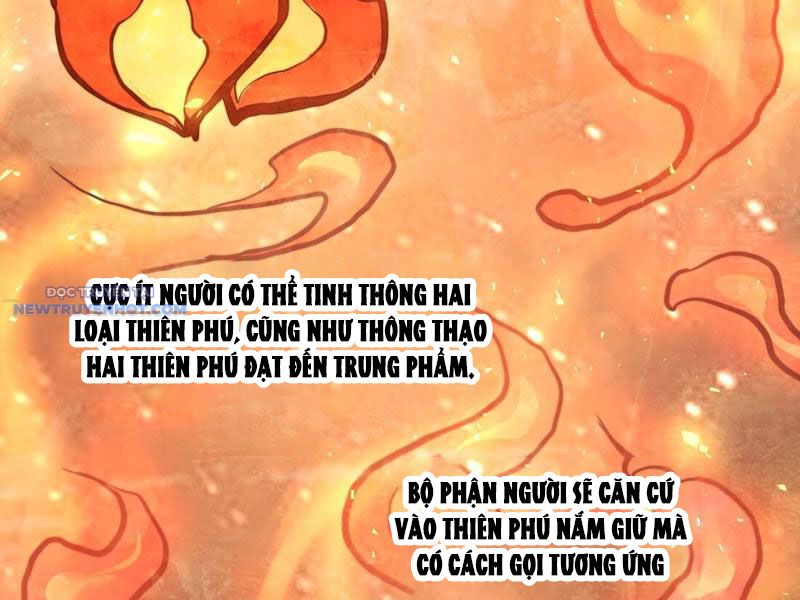 Từ Đáy Xã Hội Quật Khởi chapter 9 - Trang 12