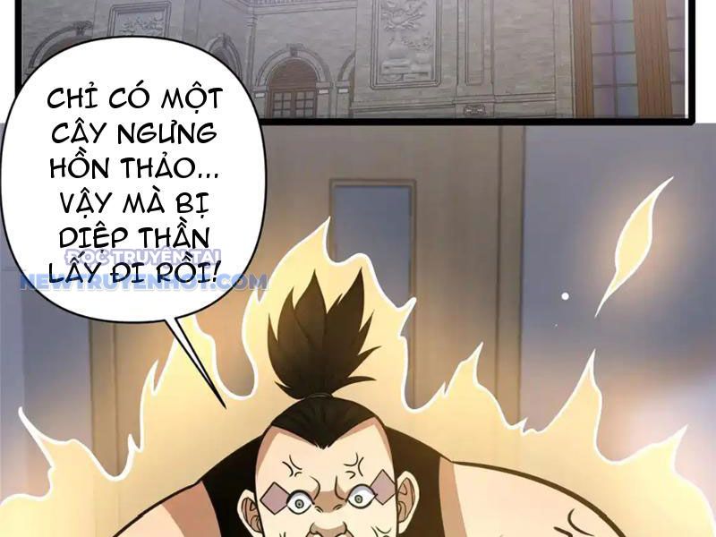 Đô Thị Cực Phẩm Y Thần chapter 171 - Trang 72