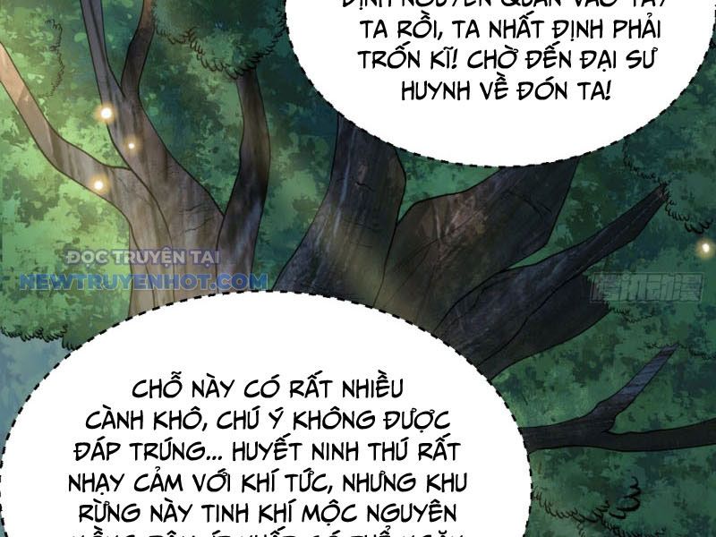 Tu Tiên Bắt Đầu Từ Trường Sinh chapter 51 - Trang 3