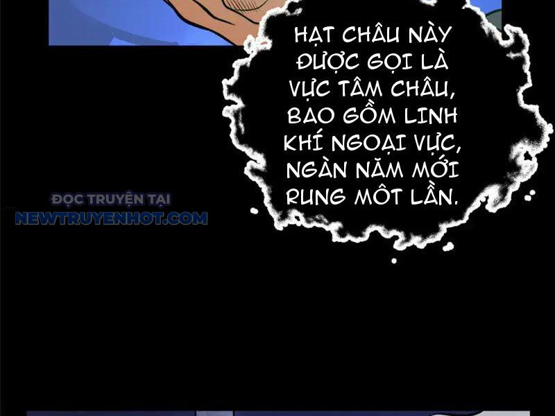 Đô Thị Cực Phẩm Y Thần chapter 178 - Trang 3