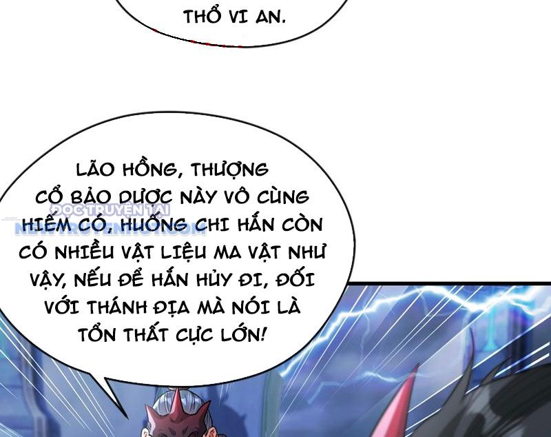 Vừa Cầm Được Thái Cổ Tiên Dược, Ta Đã Đe Dọa Thánh Chủ chapter 68 - Trang 13