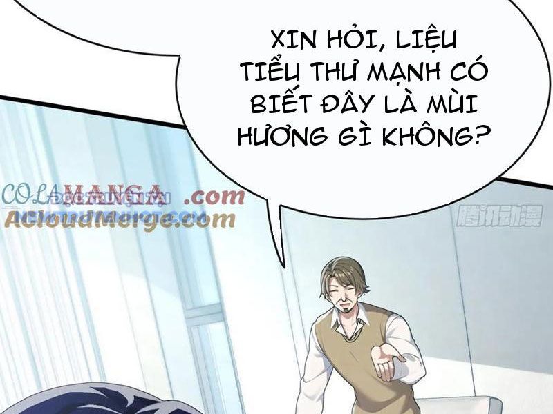 Đại Lão Xuống Núi: Bắt Đầu Từ Việc Trở Thành Thư Ký chapter 54 - Trang 6