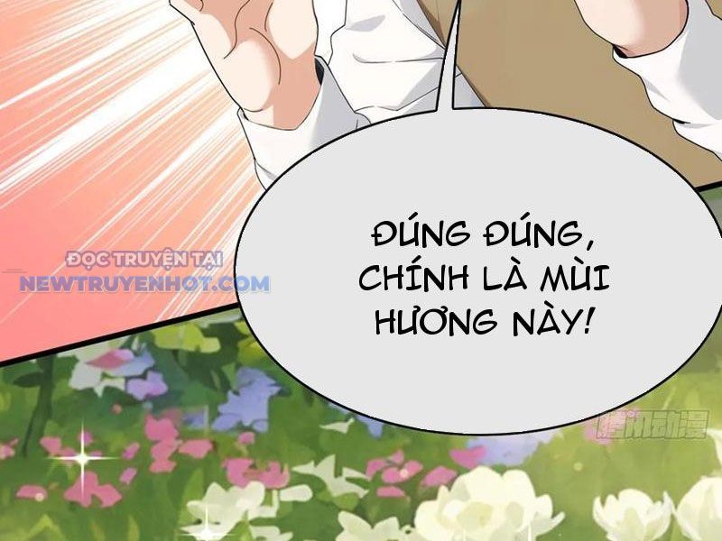 Đại Lão Xuống Núi: Bắt Đầu Từ Việc Trở Thành Thư Ký chapter 54 - Trang 13