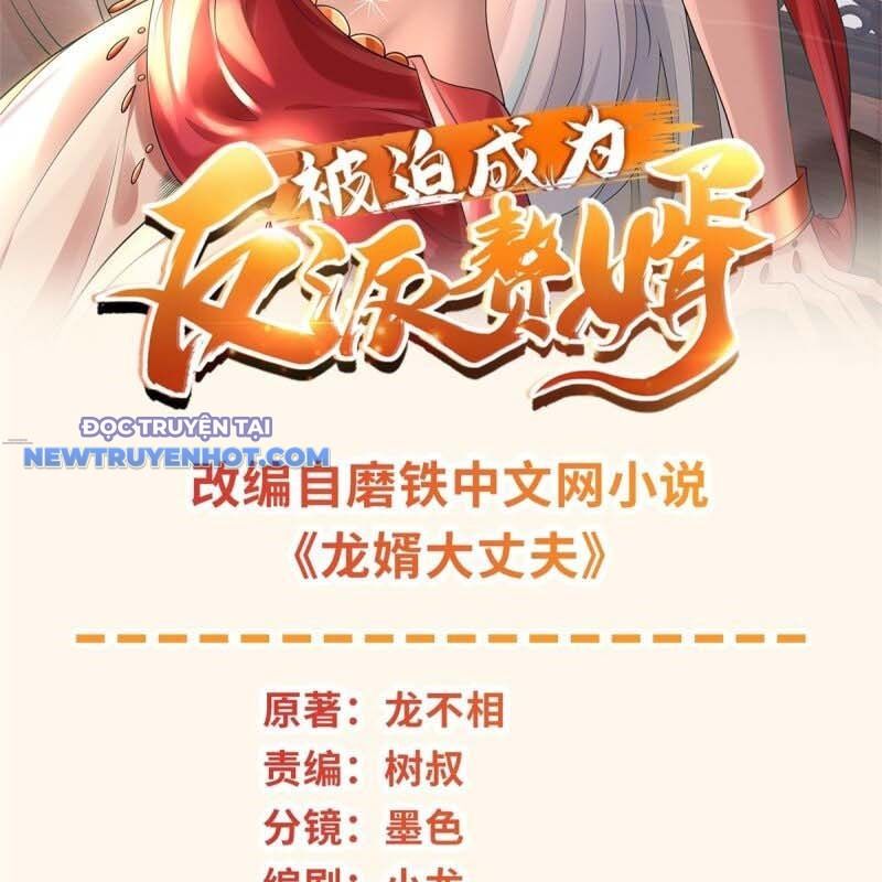 Người Ở Rể Bị Ép Thành Phản Diện chapter 617 - Trang 3