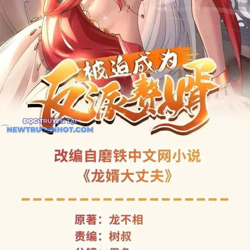 Người Ở Rể Bị Ép Thành Phản Diện chapter 633 - Trang 3