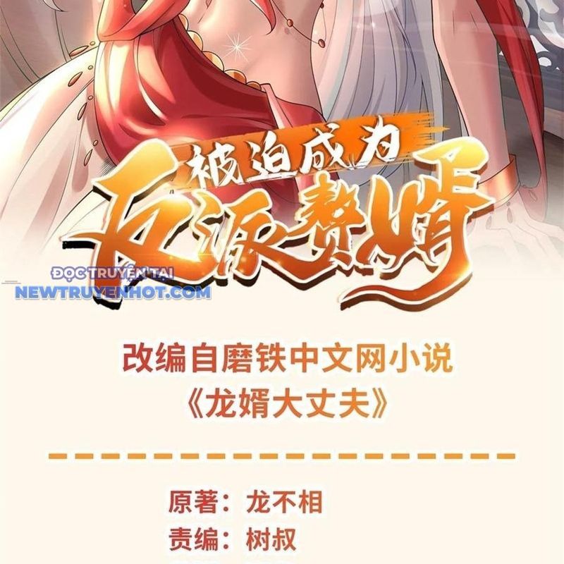 Người Ở Rể Bị Ép Thành Phản Diện chapter 642 - Trang 3