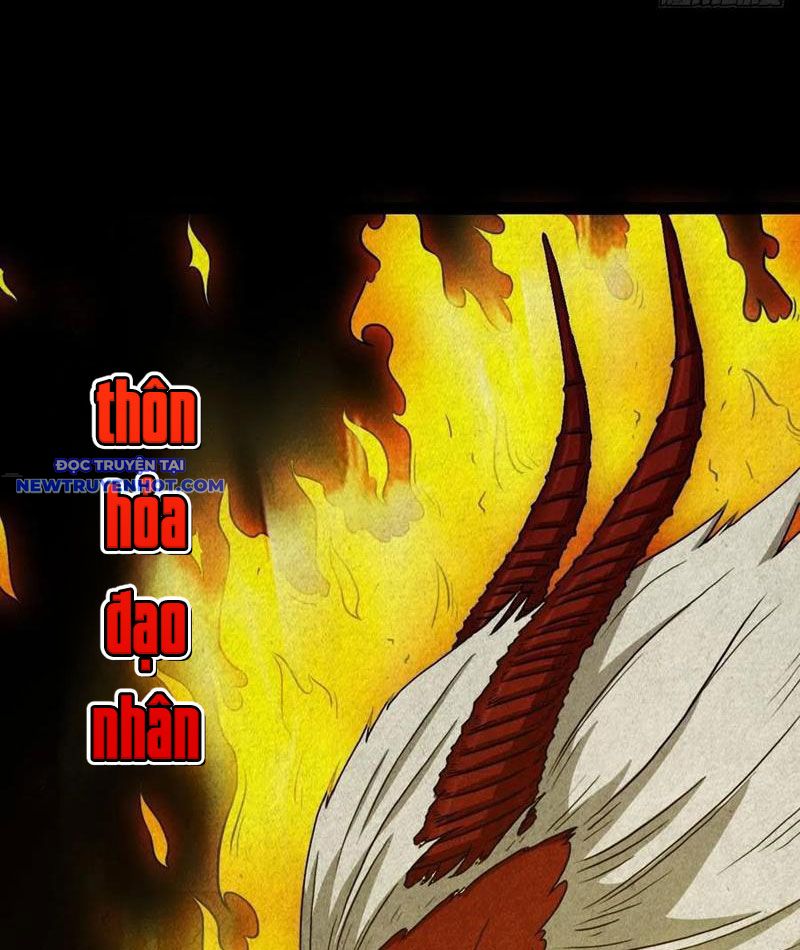 đấu Yếm Thần chapter 117 - Trang 23