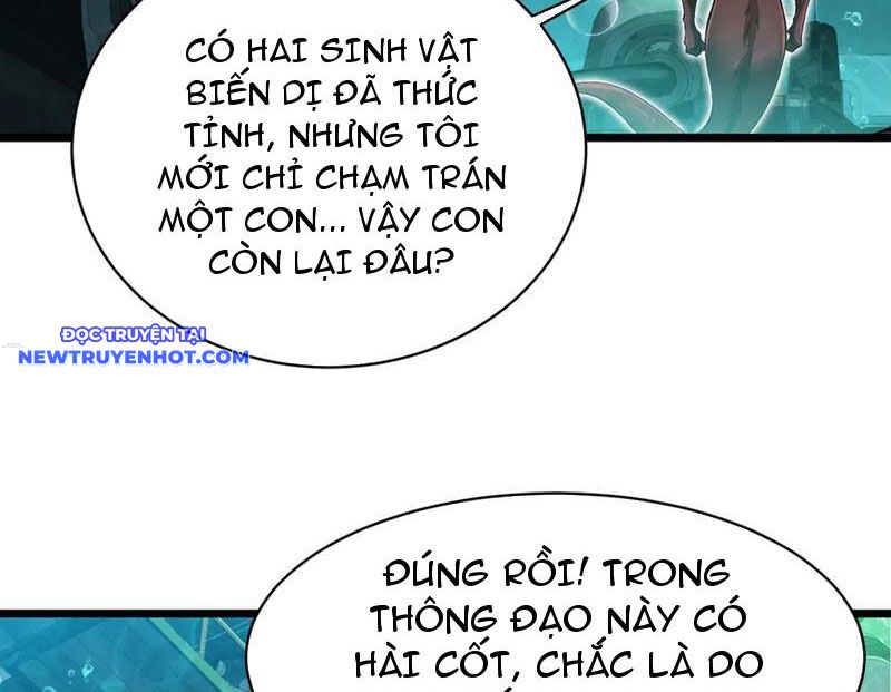 Linh Khí Khôi Phục: Từ Cá Chép Tiến Hoá Thành Thần Long chapter 34 - Trang 104