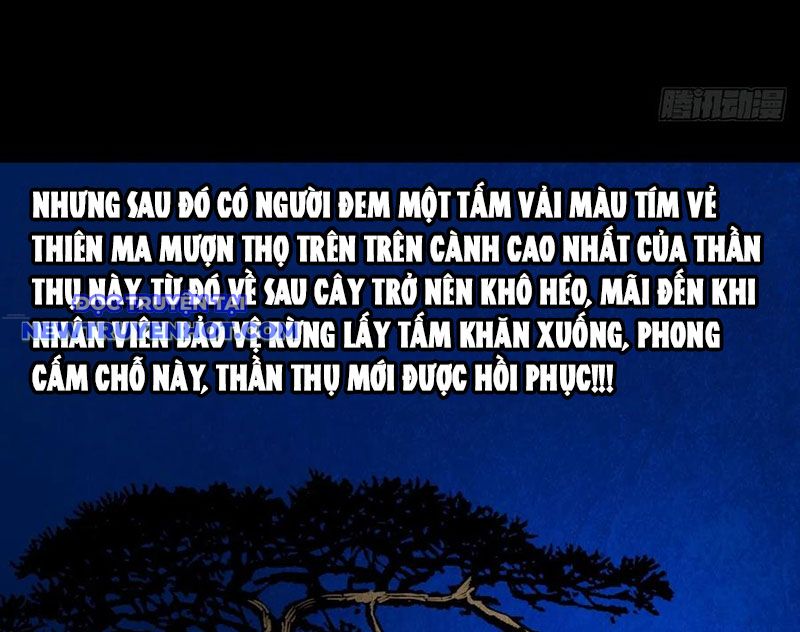 đấu Yếm Thần chapter 131 - Trang 13