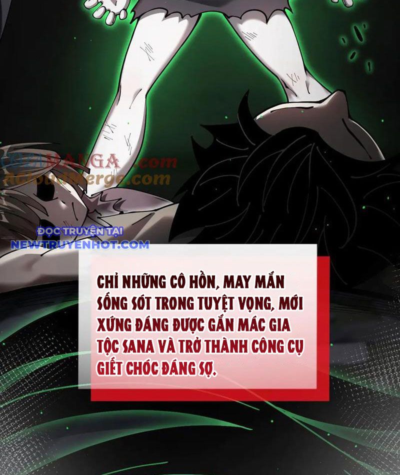 Cái Bóng Phản Bội Của Gia Tộc chapter 39 - Trang 11