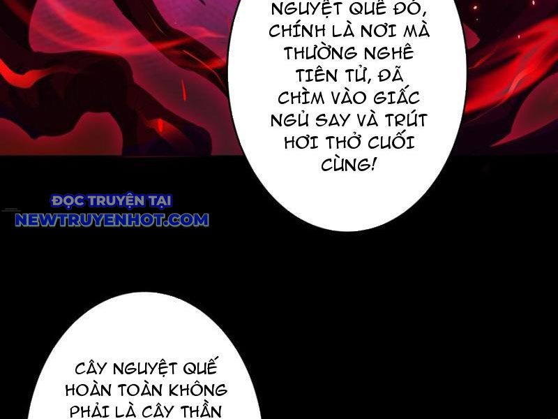 Vô Hạn Chuyển Chức: Ta Có Thể Triệu Hoán Nữ Thần Max Cấp chapter 40 - Trang 15