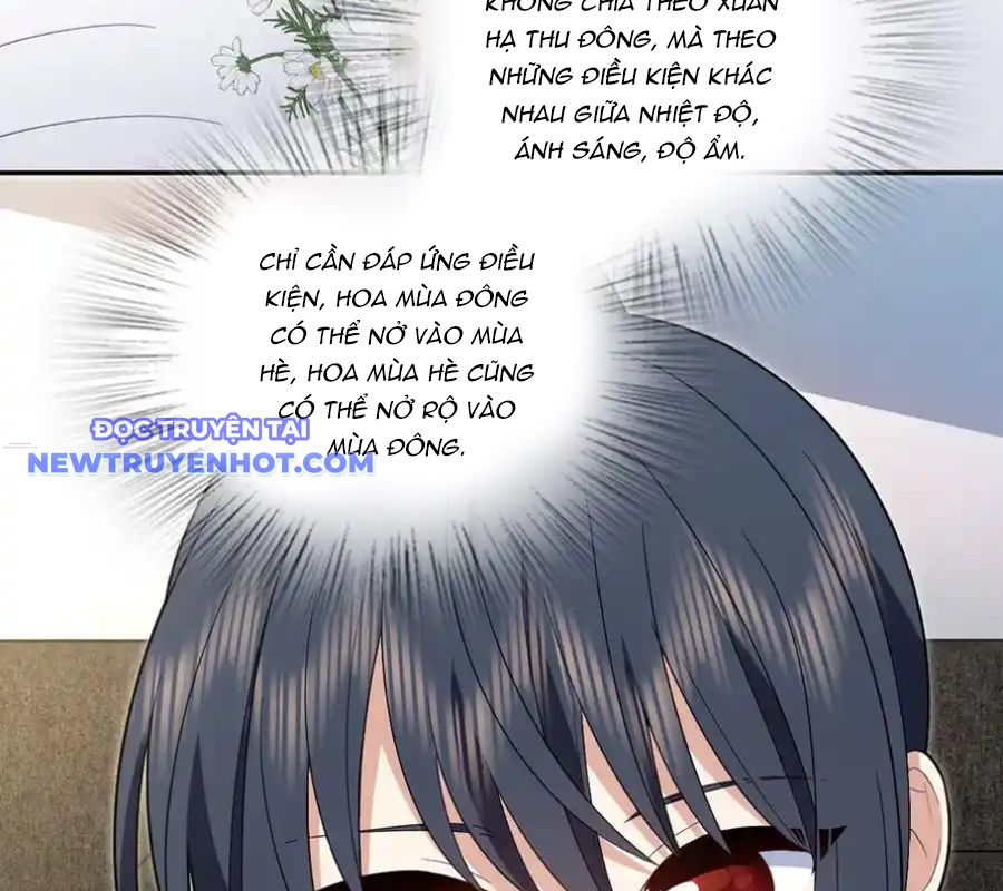 Bà Xã Nhà Tôi Đến Từ Ngàn Năm Trước chapter 324 - Trang 48