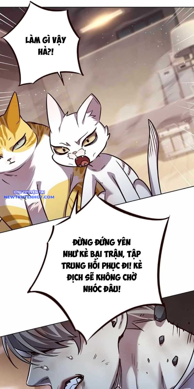 Hóa Thân Thành Mèo chapter 328 - Trang 64