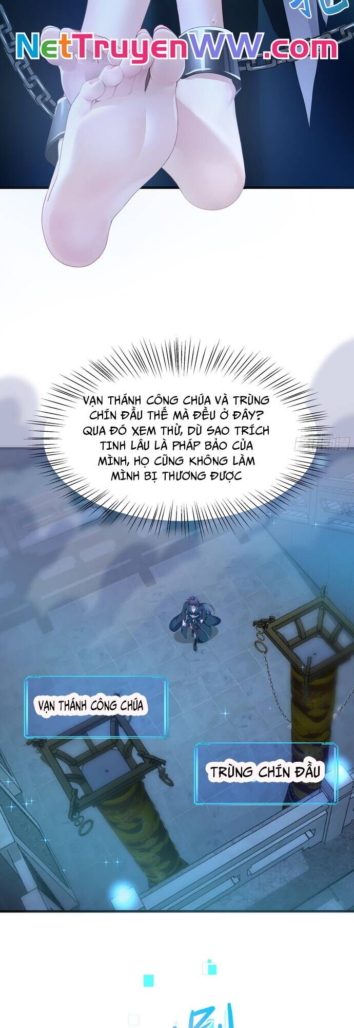 Trụ Vương Tái Sinh Không Muốn Làm Đại Phản Diện Chapter 28 - Trang 9