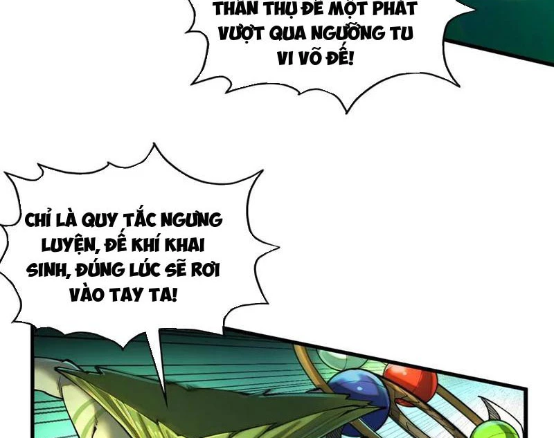 Vạn Cổ Chí Tôn Chapter 374 - Trang 24