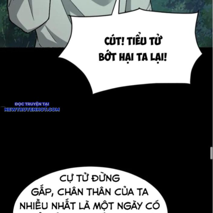 Ngày Tôi Sinh Ra, Bách Quỷ Dạ Hành, Tuyết Thi Hộ đạo chapter 550 - Trang 52