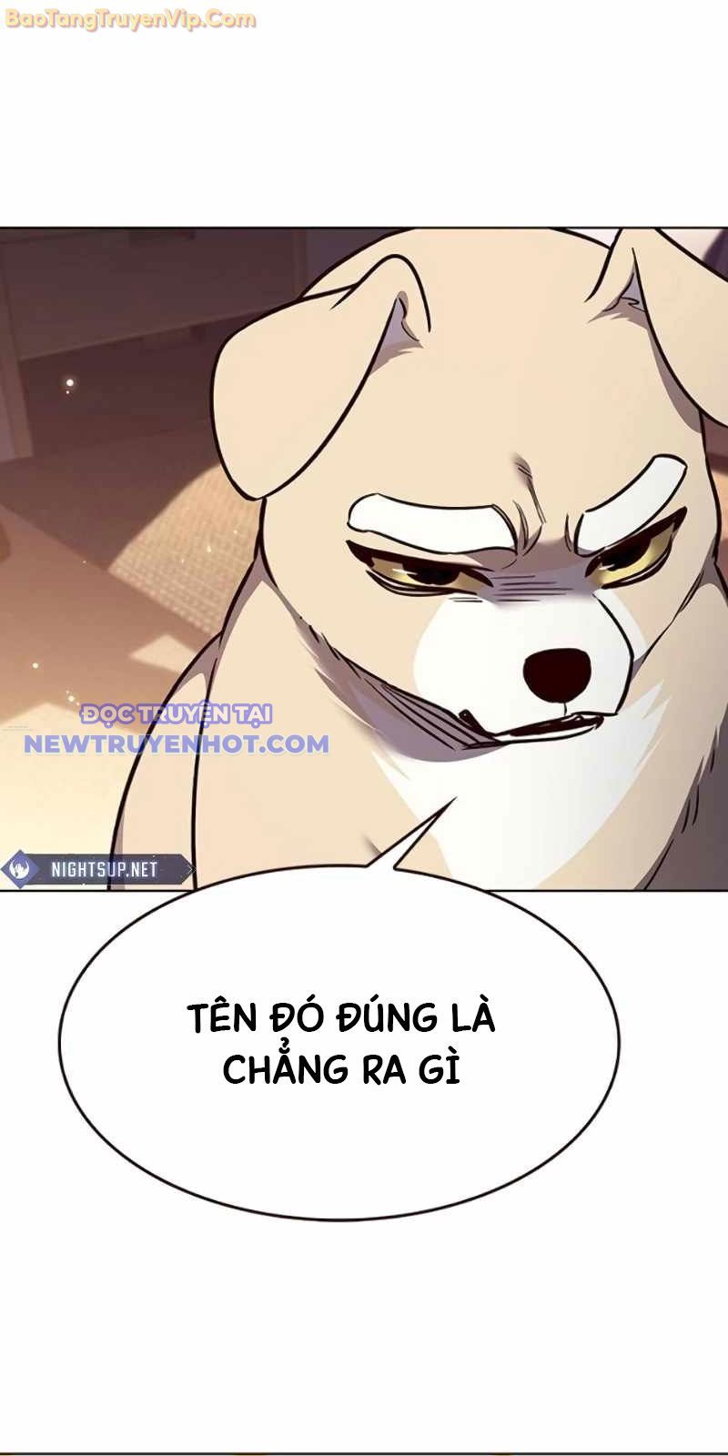 Hóa Thân Thành Mèo chapter 329 - Trang 10