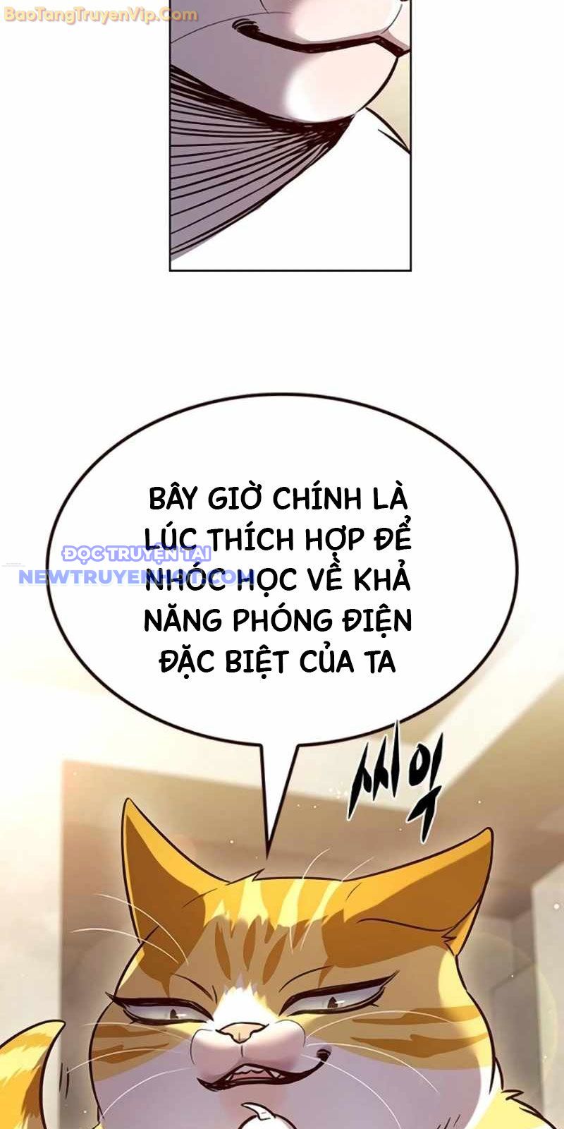 Hóa Thân Thành Mèo chapter 329 - Trang 94