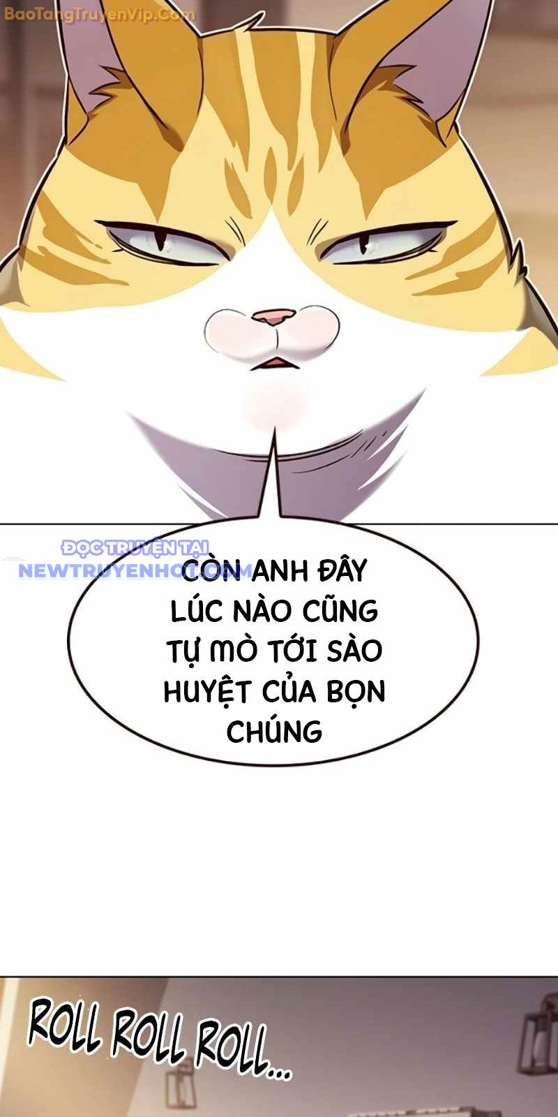 Hóa Thân Thành Mèo chapter 329 - Trang 13