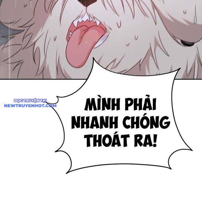 Xin Chào! Bác Sĩ Thú Y chapter 57 - Trang 142