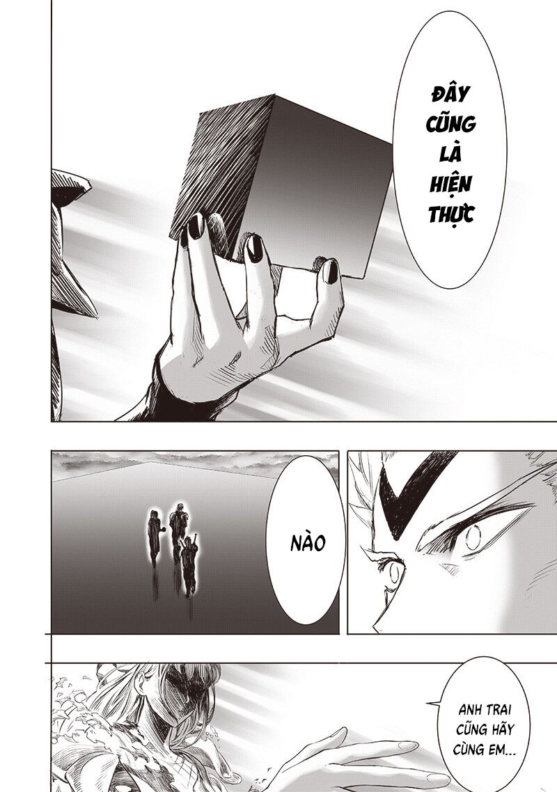 Onepunch Man Chapter 266 - Trang 5