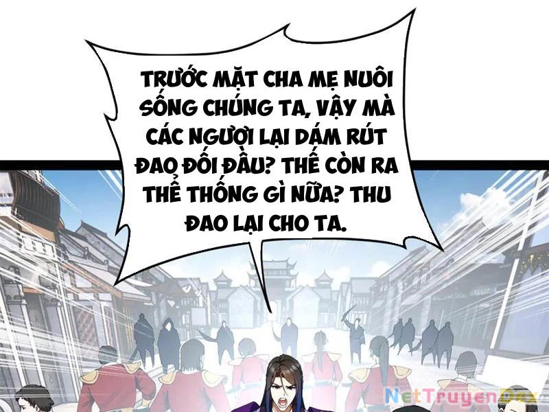 Chàng Rể Mạnh Nhất Lịch Sử Chapter 257 - Trang 5