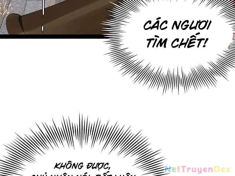 Chàng Rể Mạnh Nhất Lịch Sử Chapter 257 - Trang 22