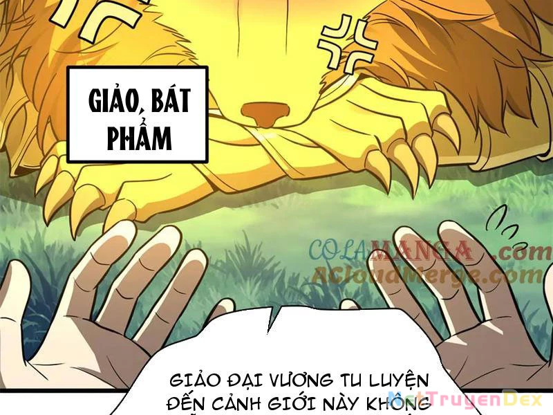 Toàn Cầu Cao Võ Chapter 291 - Trang 50