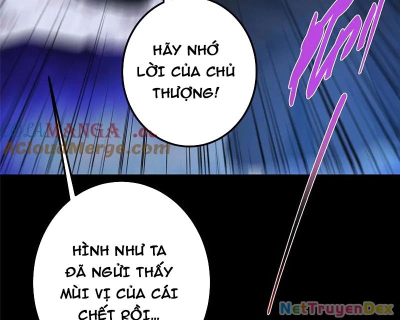 Chưởng Môn Khiêm Tốn Chút Chapter 456 - Trang 65