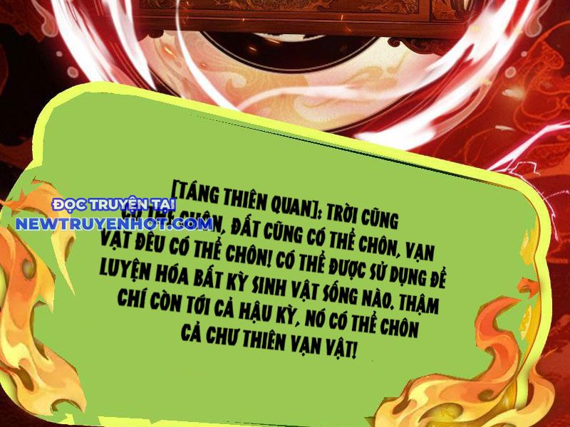 Gặp mạnh thì càng mạnh, tu vi của ta không giới hạn chapter 5 - Trang 24