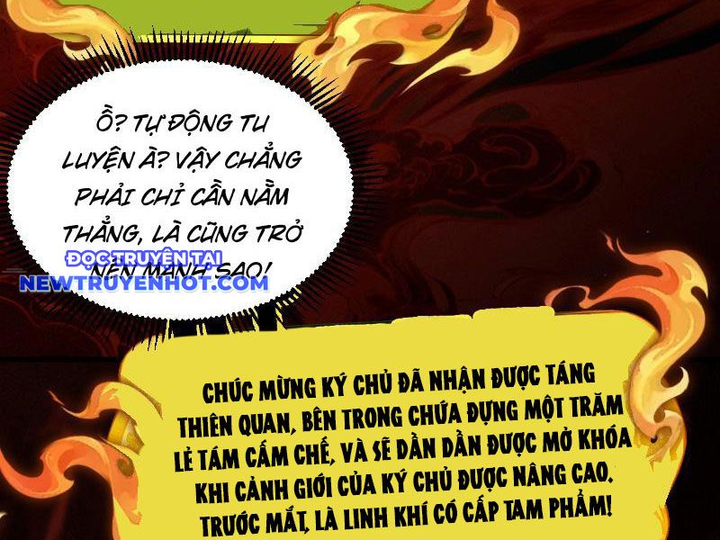 Gặp mạnh thì càng mạnh, tu vi của ta không giới hạn chapter 5 - Trang 20