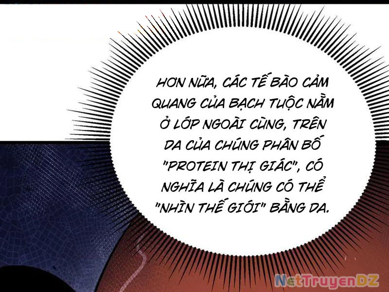 Linh Khí Khôi Phục: Từ Cá Chép Tiến Hoá Thành Thần Long Chapter 37 - Trang 9