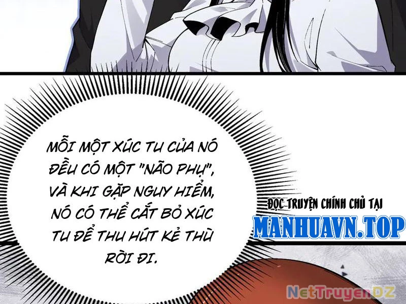 Linh Khí Khôi Phục: Từ Cá Chép Tiến Hoá Thành Thần Long Chapter 37 - Trang 7