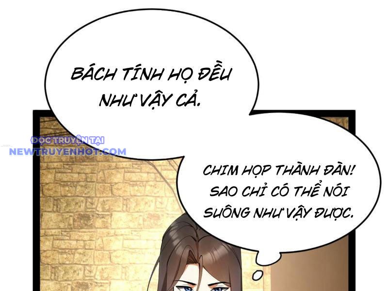 Chàng Rể Mạnh Nhất Lịch Sử chapter 259 - Trang 36