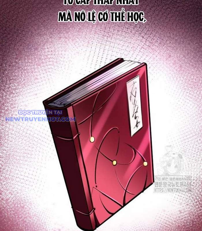 Cuốn Sách Chiến Lược Hàng Đầu Mà Chỉ Tôi Mới Có Thể Nhìn Thấy chapter 48 - Trang 117