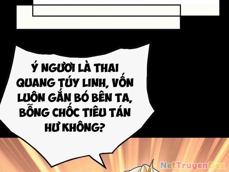 Ta Thực Sự Không Có Hứng Tu Tiên Chapter 37 - Trang 13