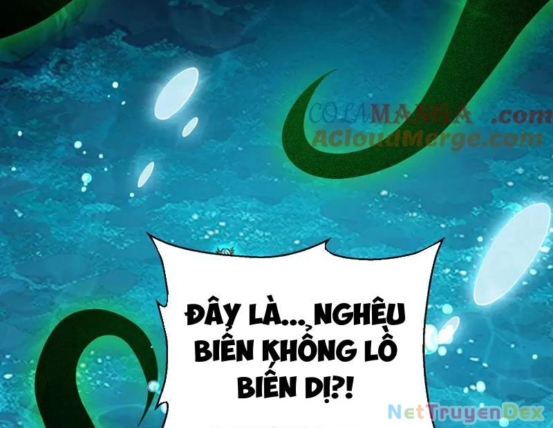 Linh Khí Khôi Phục: Từ Cá Chép Tiến Hoá Thành Thần Long Chapter 39 - Trang 154