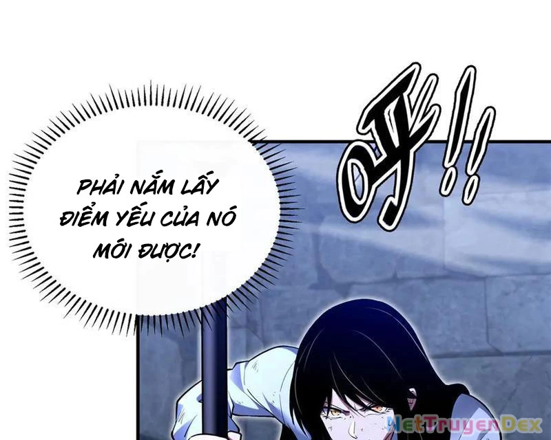 Linh Khí Khôi Phục: Từ Cá Chép Tiến Hoá Thành Thần Long Chapter 39 - Trang 80