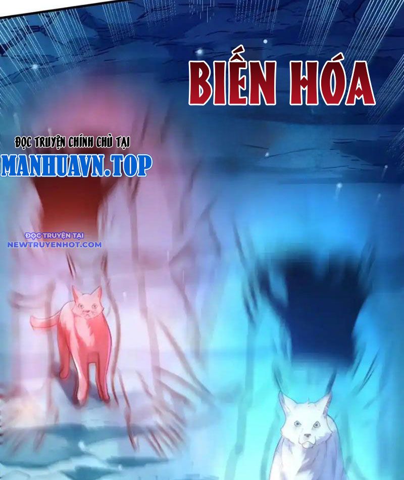 Bói Toán Mà Thôi, Cửu Vĩ Yêu Đế Sao Lại Thành Nương Tử Ta?! chapter 65 - Trang 27