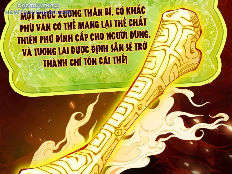 Gặp mạnh thì càng mạnh, tu vi của ta không giới hạn chapter 10 - Trang 214