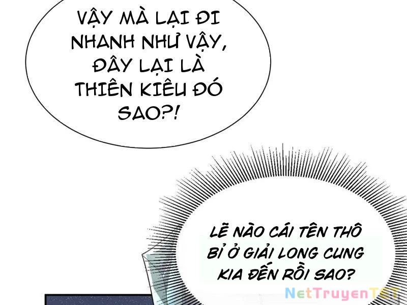 Ta Thực Sự Không Có Hứng Tu Tiên Chapter 39 - Trang 50