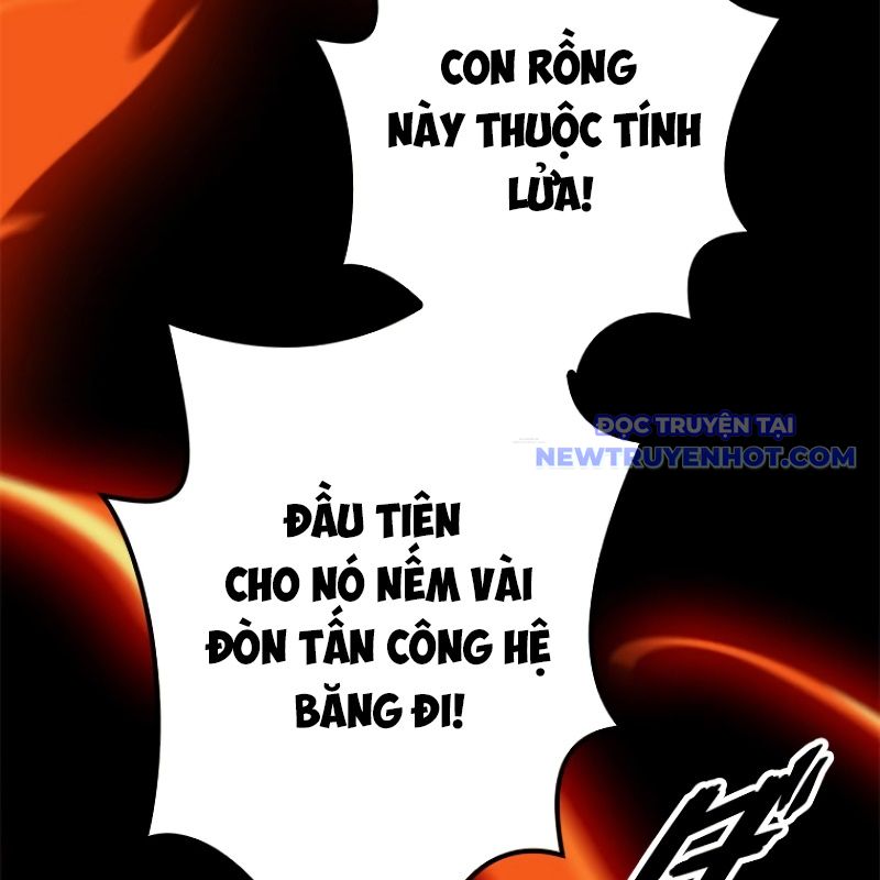 Chinh Phục Hầm Ngục Bằng Sao Chép Và Dán! chapter 21 - Trang 13