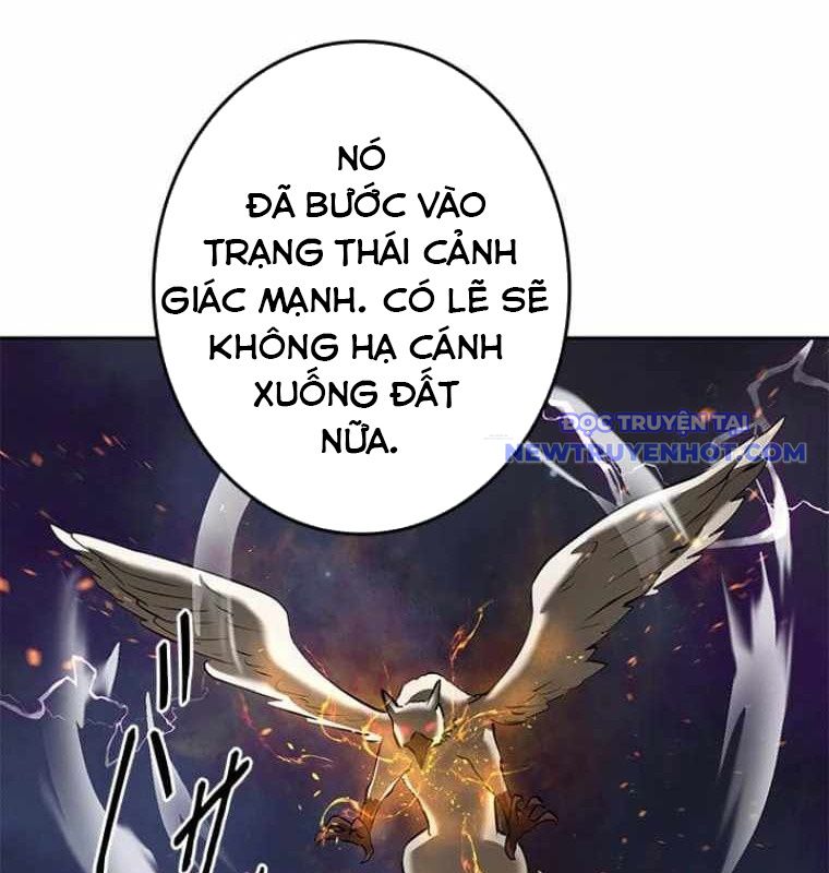 Chinh Phục Hầm Ngục Bằng Sao Chép Và Dán! chapter 31 - Trang 158