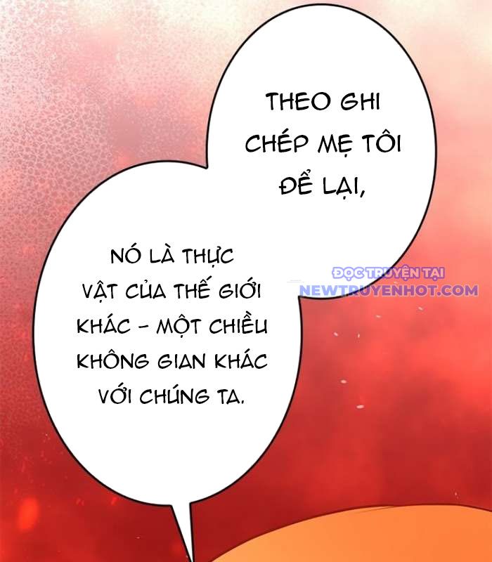 Chinh Phục Hầm Ngục Bằng Sao Chép Và Dán! chapter 25 - Trang 227