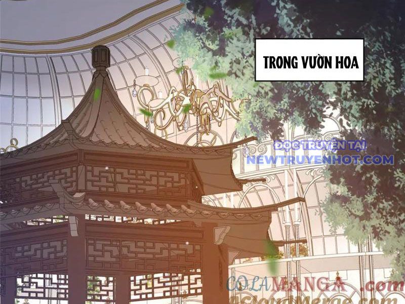 Đô Thị Cực Phẩm Y Thần chapter 227 - Trang 3